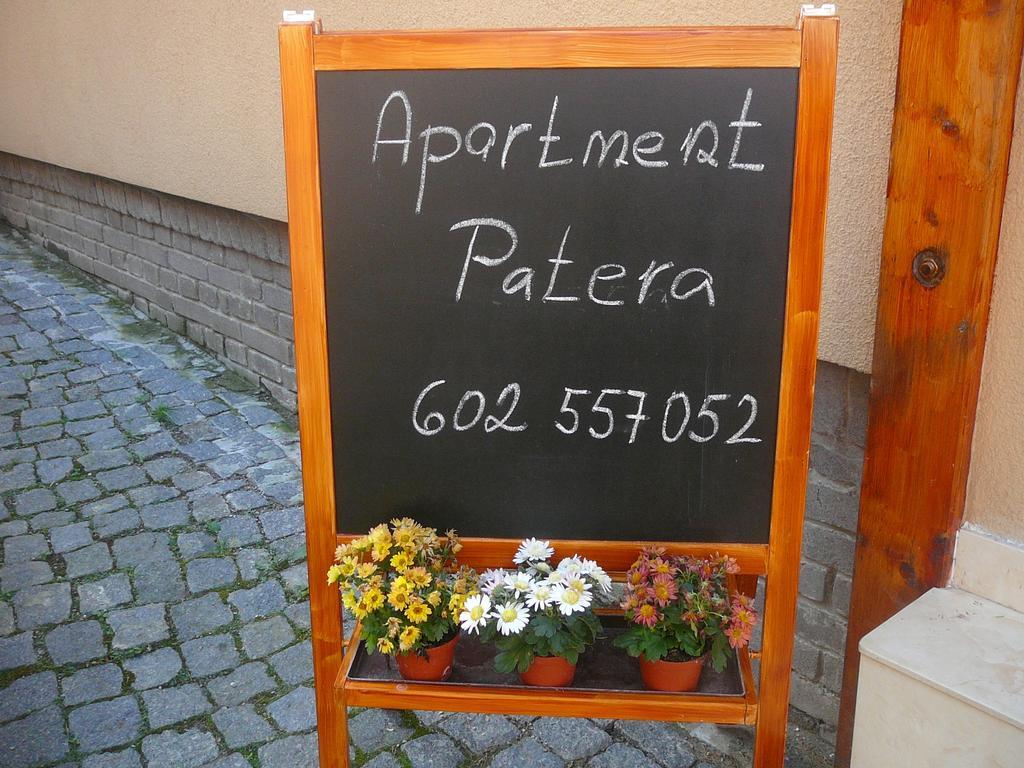 Patera *